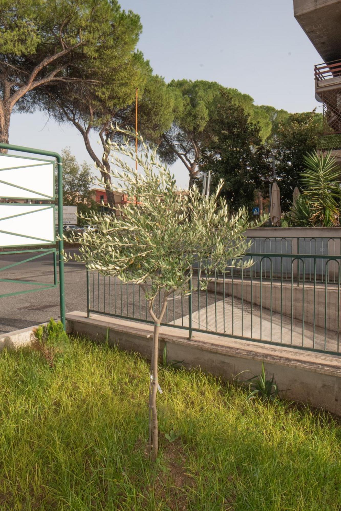 Fele'S House Apartment Guidonia Montecelio Exterior photo